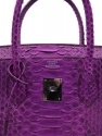 Купить Phyton Birkin 35 