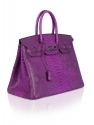 Купить Phyton Birkin 35 