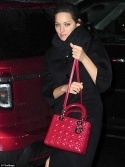 Звезды с Lady Dior Large Bag