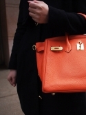 Звезды с Birkin 35