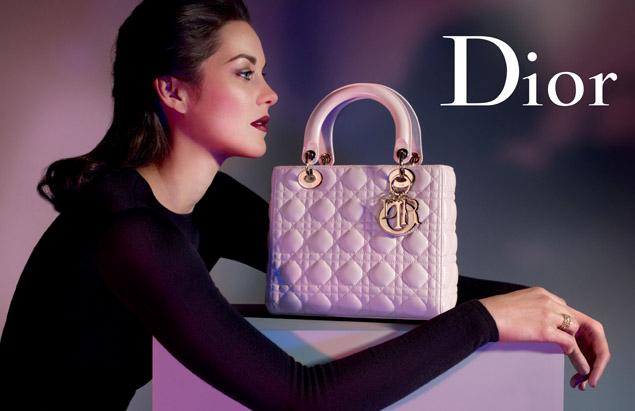 Звезды с Lady Dior Medium Bag