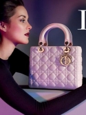 Звезды с Lady Dior Medium Bag