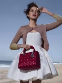 Звезды с Lady Dior Medium Bag