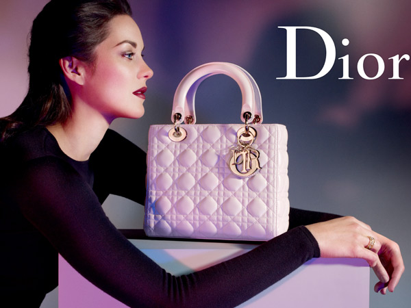 Звезды с Lady Dior Medium Bag