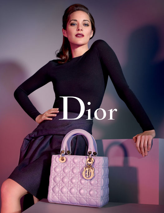 Звезды с Lady Dior Medium Bag