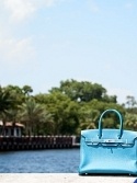 Звезды с Birkin 35